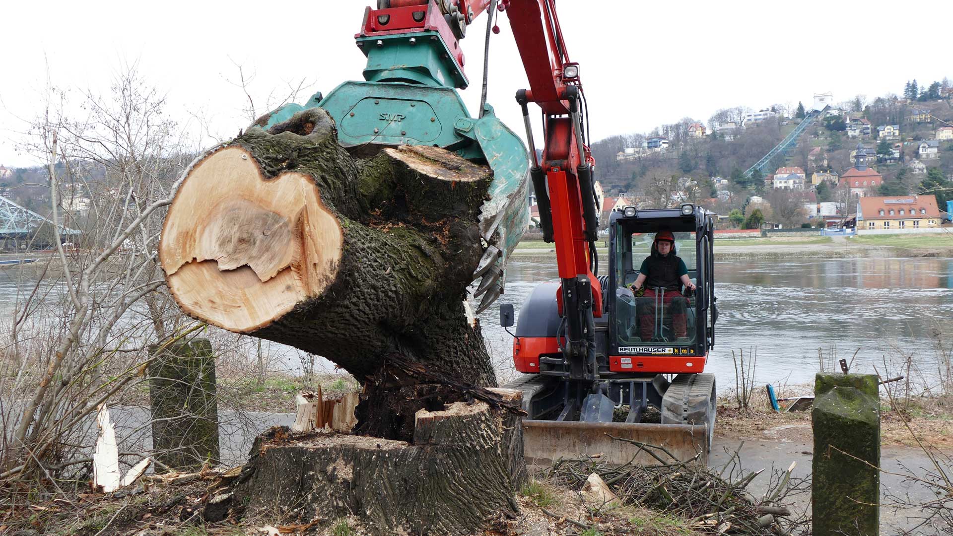 Entsorgung und Abtransport von Stammholz - Baumarbeiten und Gartengestaltung F. Deppner