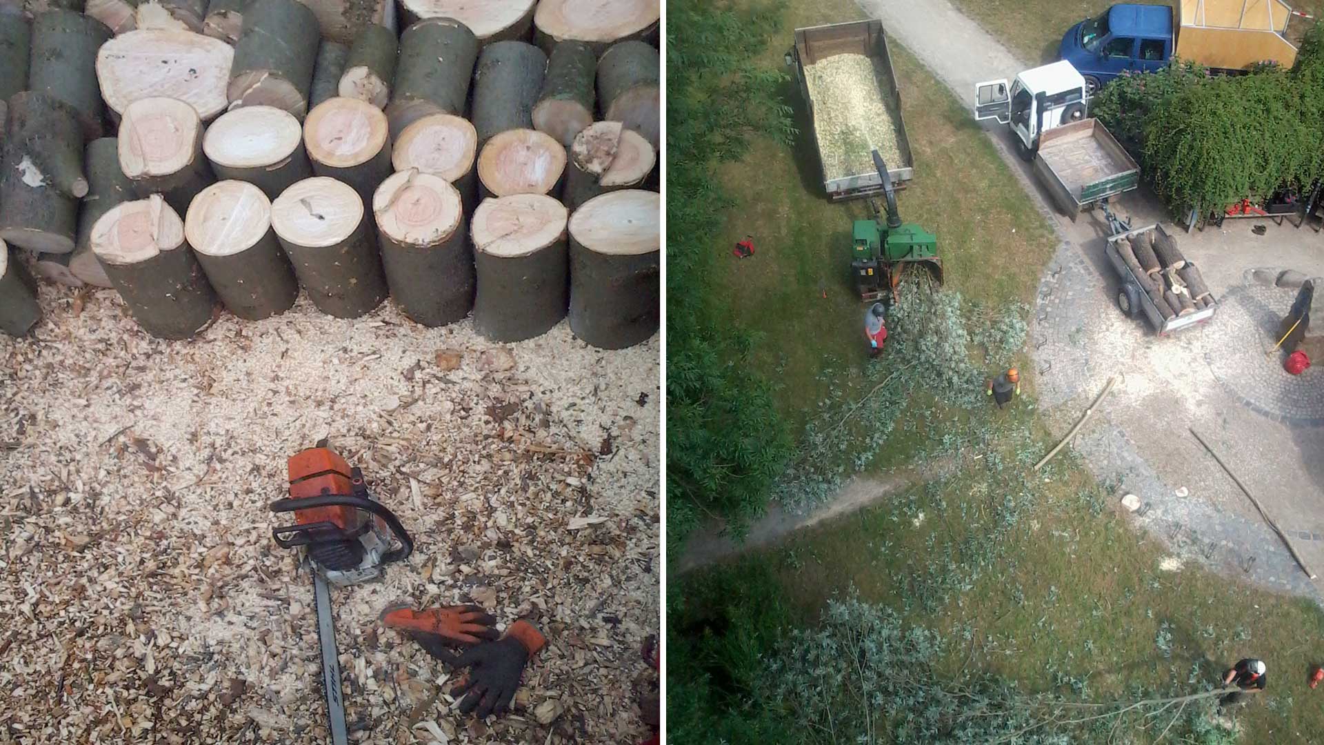 Stubbenfräsen, Schreddern und Häckseln von Stammholz - Baumarbeiten und Gartengestaltung F. Deppner