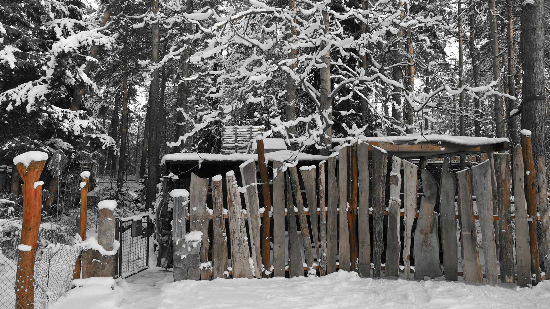 Holzbau, Holzgestaltung und Bau von Spielgeräten - Baumarbeiten und Gartengestaltung F. Deppner