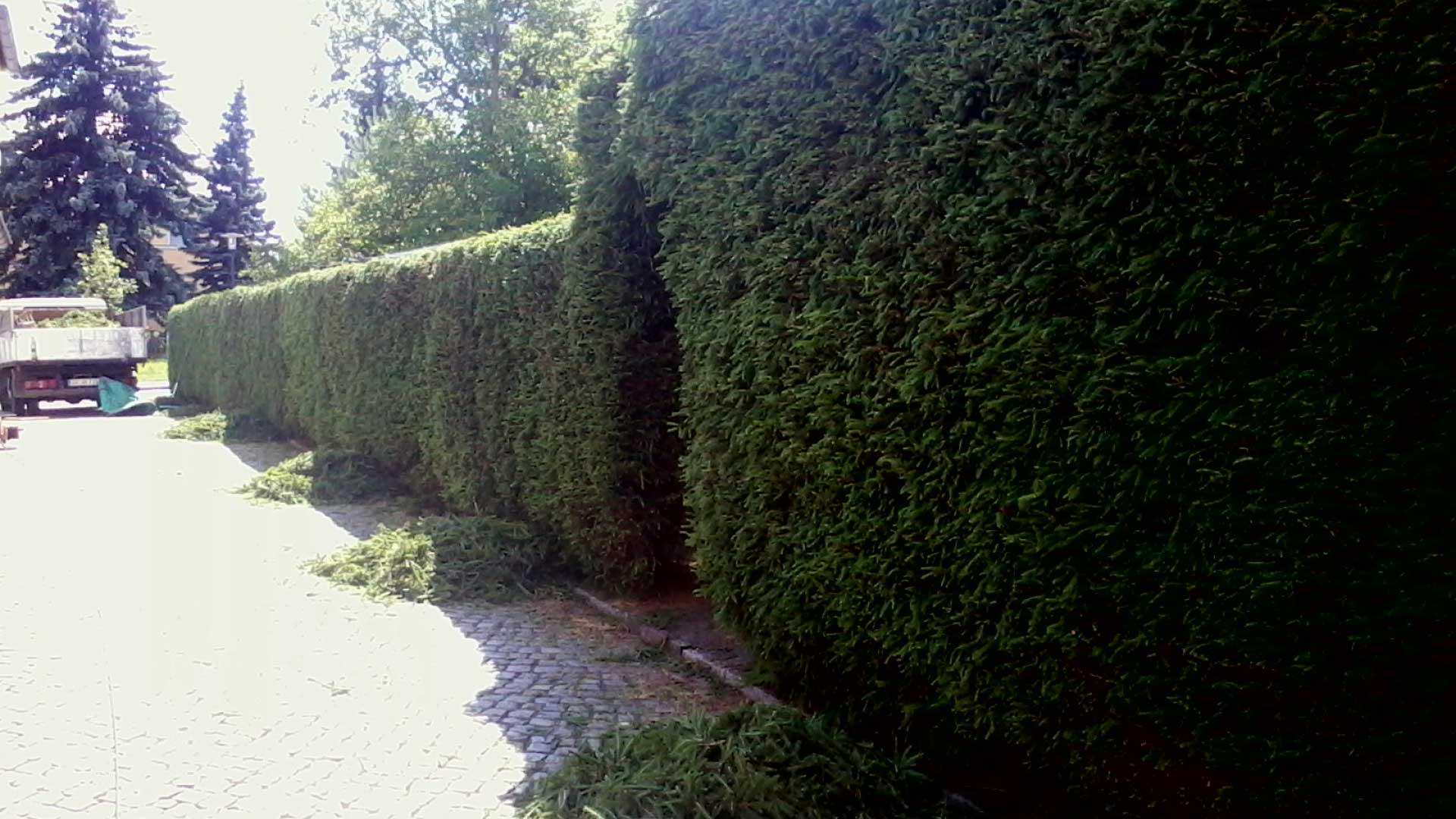 Schnitt von Hecken - Baumarbeiten und Gartengestaltung F. Deppner